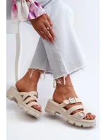 Dámske papuče na nízkom podpätku ZAXY light beige