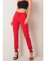 Teplákové nohavice model 161323 BFG Teplákové nohavice model 161323 BFG