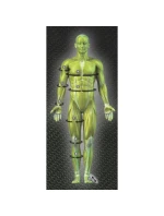 Kompresné šortky SELECT 6407 kineziologický efekt