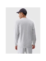 Pánska mikina s kapucňou 4F 4FWMM00TSWSM1767-27M