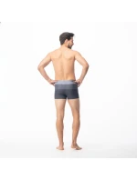 Pánske plavky Stripe M 92800076209 - Aquawave Pánske plavky Stripe M 92800076209 - Aquawave