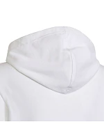 Adidas Colourblock Hoodie Jr HG6826
