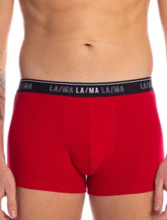 PÁNSKE ŠORTKY M-1021SZG 3PACK