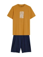 Pánske pyžamo 42600 Sun yellow - HENDERSON