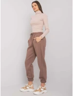 Tepláky RV DR 7205.74 hnedá