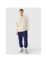 Pánske tepláky typu jogger 4F 4FWMM00TTROM1139-31S