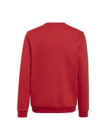 Detská mikina Entrada 22 Sweat Jr H57473 - Adidas Detská mikina Entrada 22 Sweat Jr H57473 - Adidas