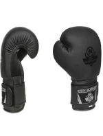 Boxerské rukavice 10oz - Black Master - Valor Series
