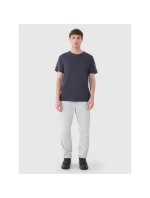 Pánske trekingové tričko z Merino vlny 4F 4FWSS25TFTSM1268-22S pánske