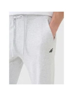 Pánske tepláky 4F 4FWMM00TTROM1139-27M