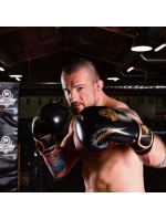 Boxerské rukavice 10oz - Aureos - Valor Series