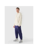 Pánske tepláky typu jogger 4F 4FWMM00TTROM1139-31S