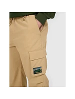 Pánske nohavice na voľný čas 4F 4FRAW25TTROM1690-83S