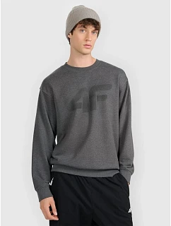 Pánska mikina s kapucňou 4F 4FRMM00TSWSM2479-23M