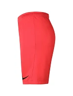 Pánske šortky Dry Park III NB KM BV6855 635 - Nike