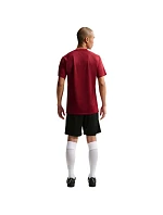 Pánske tričko Nike Dri-Fit Park VIII Burgundy HV8173 677 Pánske Pánske tričko Nike Dri-Fit Park VIII Burgundy HV8173 677 Pánske
