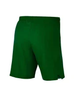 Pánske kraťasy Laser Woven IV Short M AJ1245-302 - Nike Pánske kraťasy Laser Woven IV Short M AJ1245-302 - Nike