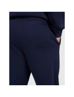 Pánske tepláky typu jogger 4F 4FRMM00TTROM1624-31S