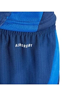 Šortky adidas Tiro 24 Competition Match M IQ4754