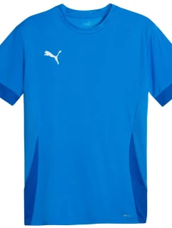 Puma teamGoal Matchday Jersey M 705747 02 muži