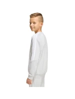 Detská mikina adidas Tiro 26 League Sweat Crew sivá KF5823