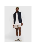 Pánske tričko bez rukávov 4F 4FWSS25TVJAM194-20S