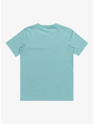 Chlapčenské tričko Quiksilver COMP LOGO