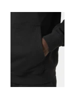 Helly Hansen Core Graphic Sweat Hoodie M 53924 993 Helly Hansen Core Graphic Sweat Hoodie M 53924 993