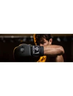 Boxerské rukavice 10oz - Black Master - Valor Series