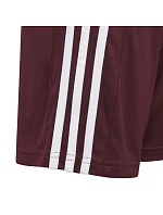 Squadra 21 Short Jr GN8081 - Adidas