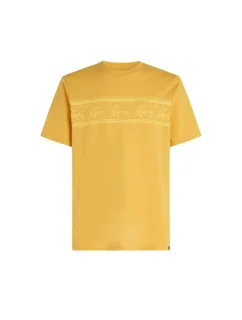 Tričko O'Neill Mix & Match Floral Graphic T-Shirt M 92800613885