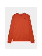 Pánska mikina 4F 4FWMM00TSWSM1767-62S s kapucňou bez svetra