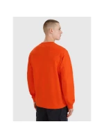 Pánska mikina s kapucňou 4F 4FRSS25TSWSM2179-70S pánska