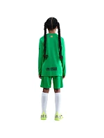 Detské šortky Nike FC Barcelona 2025/26 Stadium Goalkeeper green HQ0475 310