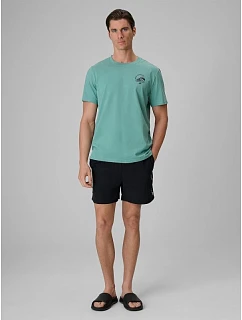 Pánske plážové šortky typu boardshorts s filtrom UPF50+ 4F 4FRSS26UBDSM258-20S