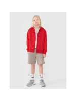 Chlapčenská mikina 4F 4FJWSS25TSWSM1851-62S