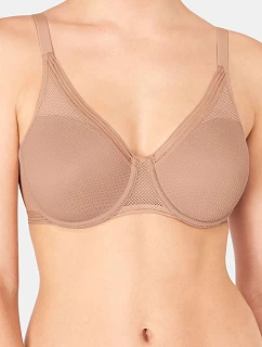 Soft model 229506 Triumph