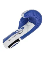 Boxerské rukavice Masters Rbt-PZKB-W 011101-02W Boxerské rukavice Masters Rbt-PZKB-W 011101-02W