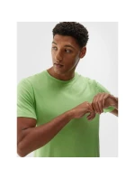 Pánske pravidelné rýchloschnúce tréningové tričko 4F 4FWAW24TFTSM1003-42M