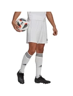 Pánske kraťasy Squadra 21 Short M GN5774 - Adidas