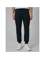 Pánske tepláky typu jogger 4F 4FRSS26TTROM1986-31S