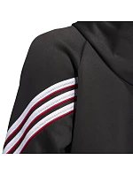 Pánska basketbalová mikina adidas Crazy Warm Hoody M JN2491