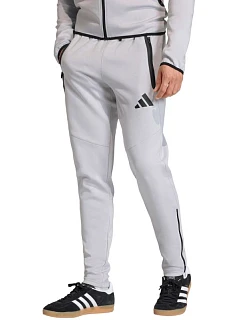 Pánske nohavice adidas Tiro 26 Travel Sweat, svetlošedé, KF6071, 2XL