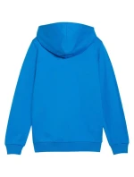 Puma teamGoal Casuals Hoodie Jr 658596 02