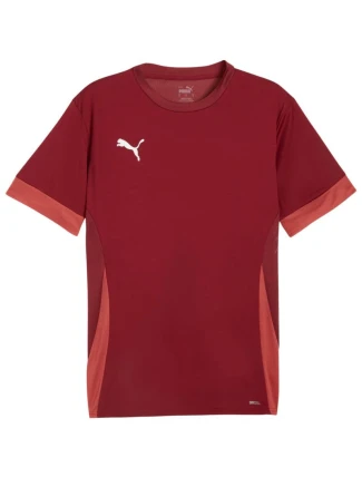 Pánsky dres Puma teamGoal Matchday Jersey burgundy 705747 09 pánsky Pánsky dres Puma teamGoal Matchday Jersey burgundy 705747 09 pánsky