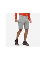 Pánske šortky MILLET Ubic Stretch Short M, sivé
