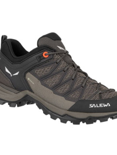 Salewa Mtn Trainer Lite GTX W Dámske trekové topánky 61362-7517
