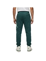 Pánske tepláky Air Jordan Essentials Baseline - FD7345-366