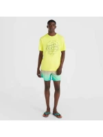 O'Neill Jack Cali Gradient 15'' plavecké šortky M 92800613575