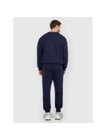 Pánske tepláky typu jogger 4F 4FRMM00TTROM1624-31S